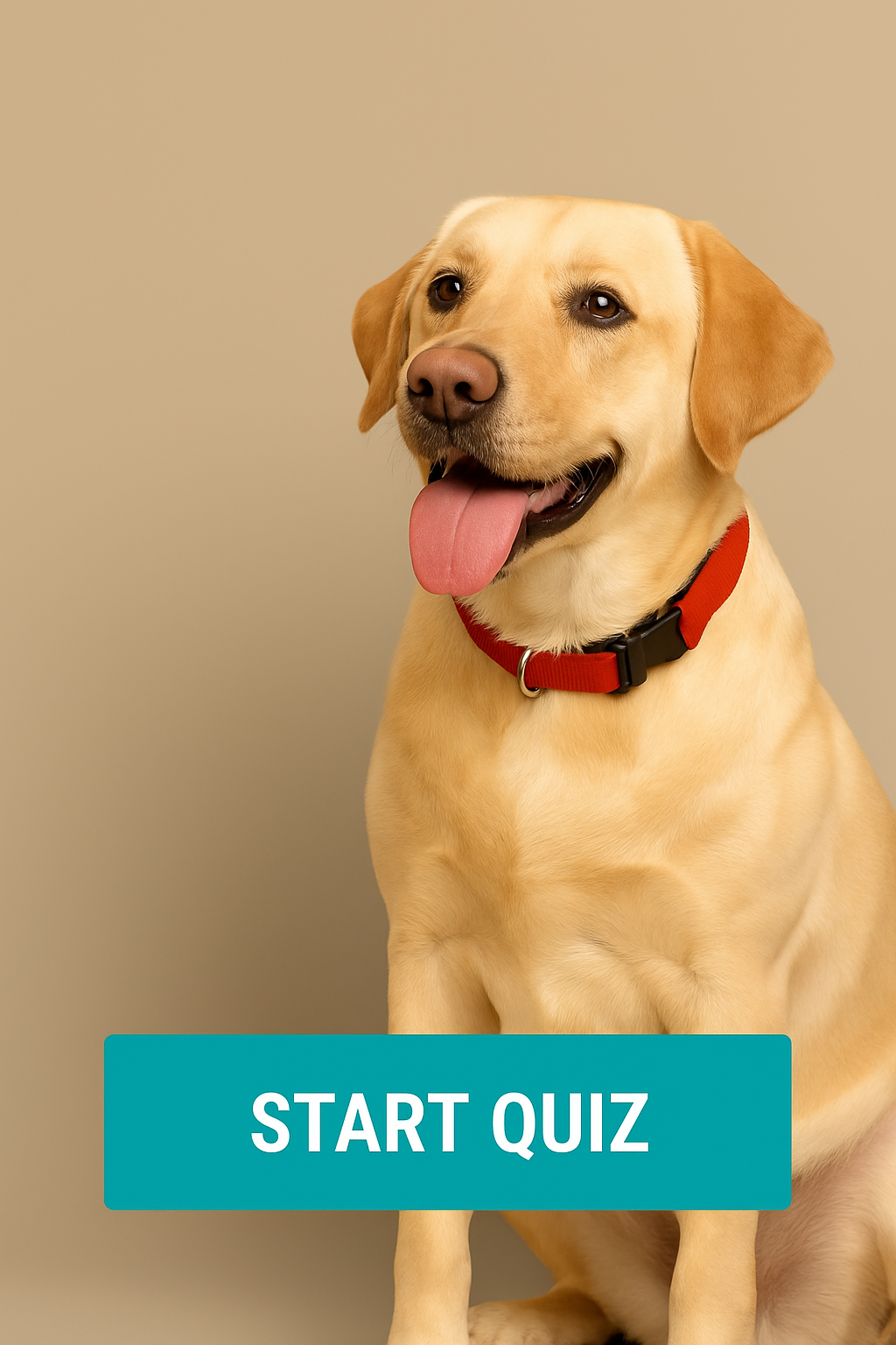 Happy dog with owner starting the personality quiz