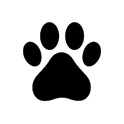 My Dog Quiz 